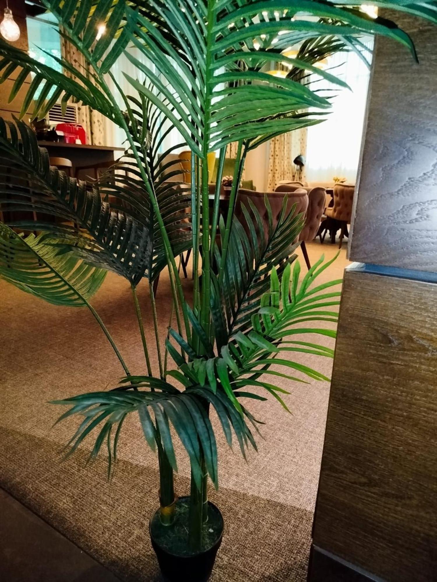 Green Tower Hotel ティビリシ エクステリア 写真